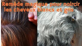 Comment colorer les cheveux blancs naturellement en quelques minutes [upl. by Esirec590]