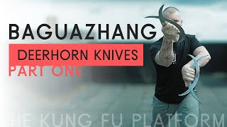 BAGUAZHANG KUNG FU  The Deerhorn Knives form Pt 1 [upl. by Spiers]