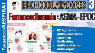 B2 AGONISTAS AntiMUSCARINICOS CORTICOIDES XANTINAS ANTILEUCOTRIENOS Farmacodinamiacinetica 3 [upl. by Hazel]