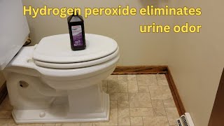 Using Hydrogen Peroxide To Eliminate Urine Odor In The Bathroom [upl. by Nomolas664]