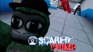 playing scared chimp collab with paradox vr gtag horrorgaming quest3 summer [upl. by Shara]