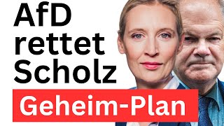 Keine Neuwahlen Scholz Vertrauen aussprechen Merz stoppen [upl. by Imugem436]