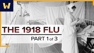 The 1918 Spanish Flu—A Conspiracy of Silence  Part 1 of 3 [upl. by Enyrhtac123]