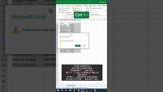 VISIBLE CELLS IN EXCEL [upl. by Sophy]