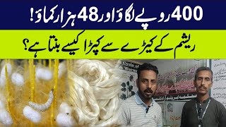 The process of turning silkworms into cloth  See full details in this video  Inquilab e Zamana [upl. by Anytsyrk940]