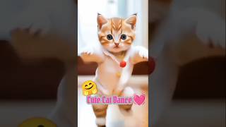 Cat Funny Dance💓🐾😾shorts cat [upl. by Neeka]