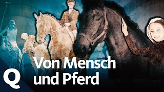 Horsemanship  verstehen Sie die Pferdesprache Teil 1 [upl. by Akined]