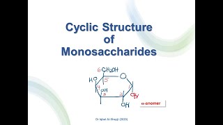 2 Cyclic Structure of Monosaccharides [upl. by Nilsoj]