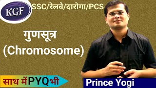 गुणसूत्र  Chromosome  Biology SSCRailwayDarogaPCS By Prince Yogi [upl. by Erika]