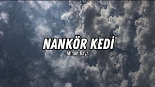 Ahmet Kaya  Nankör kedi [upl. by Lindbom]