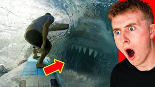 Top 10 CRAZIEST Things Caught on GoPro [upl. by Yance540]