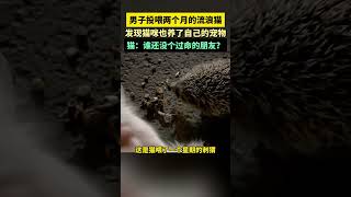 男子投喂兩個月的流浪貓，發現貓咪也養了自己的寵物 [upl. by Ula]