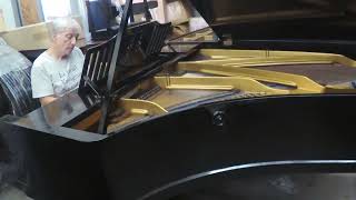 Fall in Love with a BLÜTHNER grand piano [upl. by Goto]