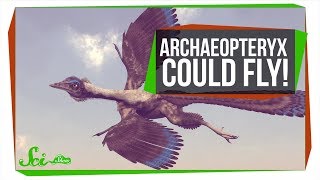 The First Known Bird Could Fly But Super Awkwardly [upl. by Ailesor]