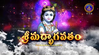 శ్రీమద్భాగవతం  Srimad Bhagavatham  Kuppa Viswanadha Sarma  Tirumala  03022024  SVBC TTD [upl. by Penman126]