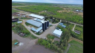 Goed ingericht melkveebedrijf in Grunthal Manitoba [upl. by Tutt]