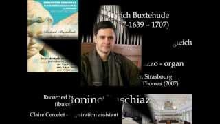 Buxtehude Lob Gott ihr Christen allzugleich BuxWV 202 Antonino Buschiazzo  organ [upl. by Xena]