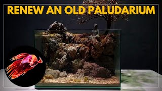 RENEW A PALUDARIUM  COLOR YOUR FISH TANK FOR BETTA FISH [upl. by Aicirpac559]