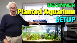 Unleash Your Creativity How To Create A Stunning Natural Planted Aquarium [upl. by Heinrich157]