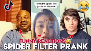 Spider prank on my husband while hes asleep 🕷 [upl. by Subir647]