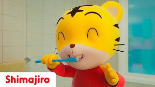 🦷🎶 Brush Eat Healthy amp Smile Bright  🥗 Dental Care Songs with Shimajiro 🐯  Fun for Kids 🎵 [upl. by Nitnelav883]