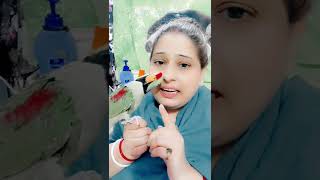 Tum jaate Ho To jao FIR wapas aanaalexenderparrot youtubeshorts singing video [upl. by Erasmus]