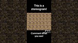 Stereograms quotMagic Eyequot  3D Animated  there is something Moving inside What do you see [upl. by Nylarat]