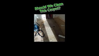 Should We Clean This Carpet [upl. by Rehtaeh]