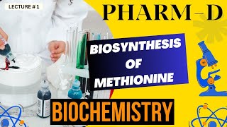 Biosynthesis Of Methionine Bio chemistry [upl. by Iclek653]