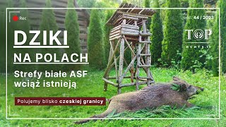 Polowanie na dziki w wysokich zbożach [upl. by Cherilynn964]