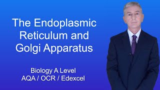 A Level Biology Revision quotThe Endoplasmic Reticulum and Golgi Apparatusquot [upl. by Cammy]