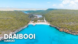 DAAIBOOI CURAÇAO [upl. by Elttil]