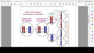 Brassage intrachromosomique et interchromosomique  Concours de médecine Maroc [upl. by Ralleigh]