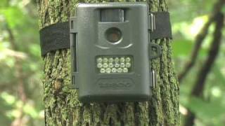 Tasco 5MP Infrared Trail Camera [upl. by Duster881]