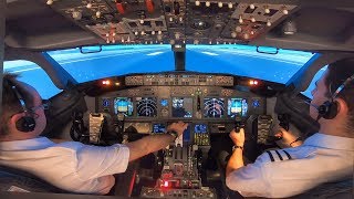 Boeing 737800 Rejected Takeoff Engine Fire amp Evacuation  MCC Training at Simtech  Cockpit View [upl. by Fortunato361]