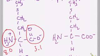 Effect of pH and pKa on Amino Acid Structure [upl. by Etteuqal]