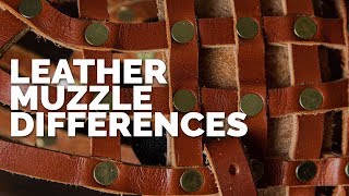 Leather Muzzle Differences [upl. by Eddra]