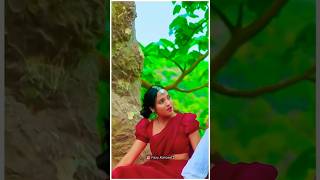 Bul Bul Rani Adivasi adivasisong trending shortvideo mrdebavlogs166 [upl. by Chadabe818]