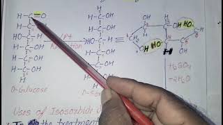 Isosorbide dinitrate synthesis Antianginal drug B Pharm Third year fifth semester New PCI syllabus [upl. by Jepum]