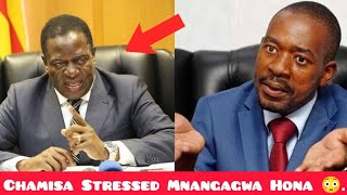 Finally Mnangagwa Give Up On Chamisa After This Tragic Symbol 😳 [upl. by Elmira702]