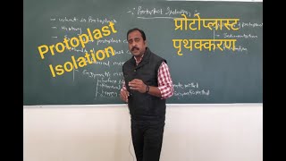 Protoplast Isolation प्रोटोप्लास्ट पृथक्करण [upl. by Efioa692]