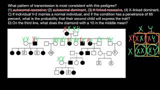 How to analyze pedigrees and solve problems [upl. by Raila150]