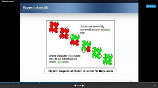 Kinetics of allosteric enzyme [upl. by Amsa]