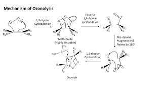 Ozonolysis  An overview in less than 7 minutes [upl. by Estevan]