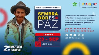 Damos inicio a la semana de Sembradores de Paz [upl. by Branch]