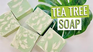 How To Make Tea Tree Soap  Learn To Make Your Own Tea Tree Soap At Home [upl. by Trilby]