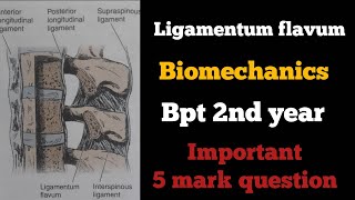 ligamentum flavum biomechanics in tamil ligaments of spinebiomechanics of spinebptbiomechanics [upl. by Doxia]