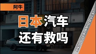 日本新能源汽车为什么这么拉胯？【阿牛读财】 [upl. by Odnolor357]