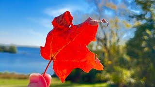 Okoboji Broadcast 1006 Fall colors stealing the show Okoboji Tourism [upl. by Ortrude]