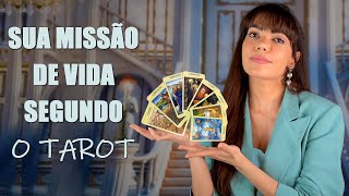 SUA MISSÃO DE VIDA NO TAROT  NUMEROLOGIA  Bárbara Moreira  DesprogrAMESE [upl. by Nneb889]